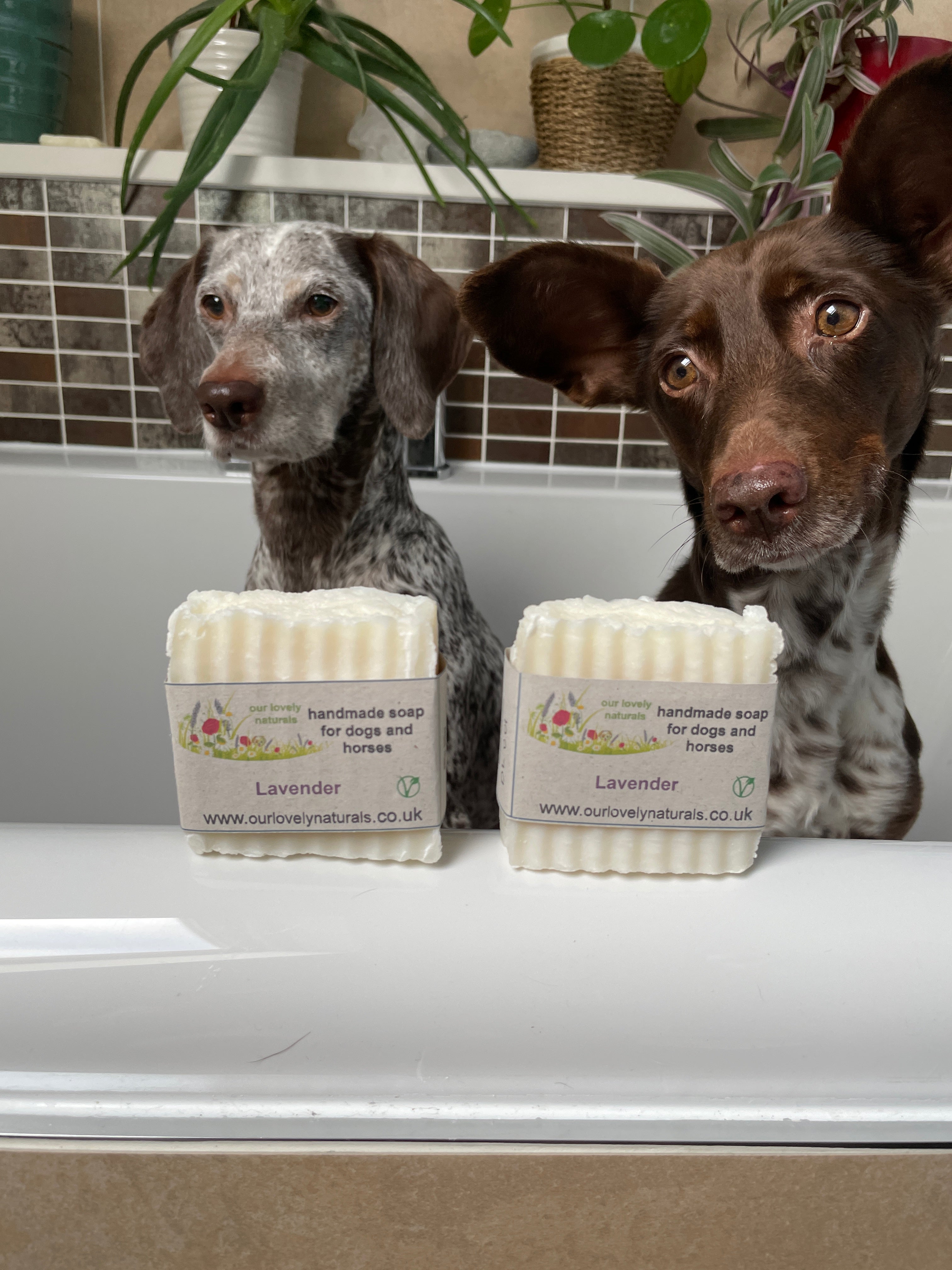 Dog friendly soap best sale